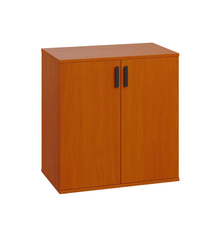 LN 2 - 7D kancelářská skříň, 2-dveřová, 750x720x400, třešeň šumavská